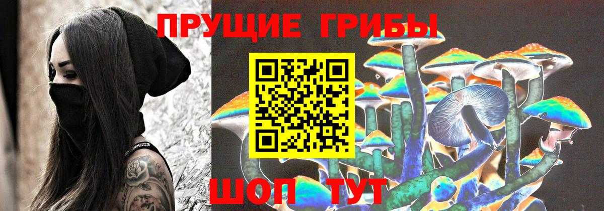 Псилоцибиновые грибы Psilocybe  Псилоцибиновые грибы прущие грибы  Вход с VPN  Балашиха 